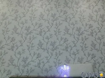 imcarrieberry’s Chaturbate Profile Image