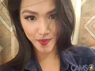 AxcelGil’s LiveJasmin Profile Image